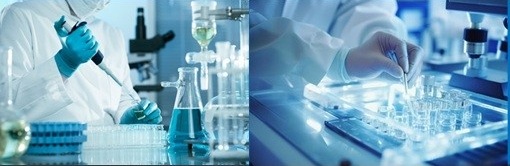 ホーユー株式会社との実績